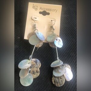 Iridescent-toned Disc Drop Earrings -